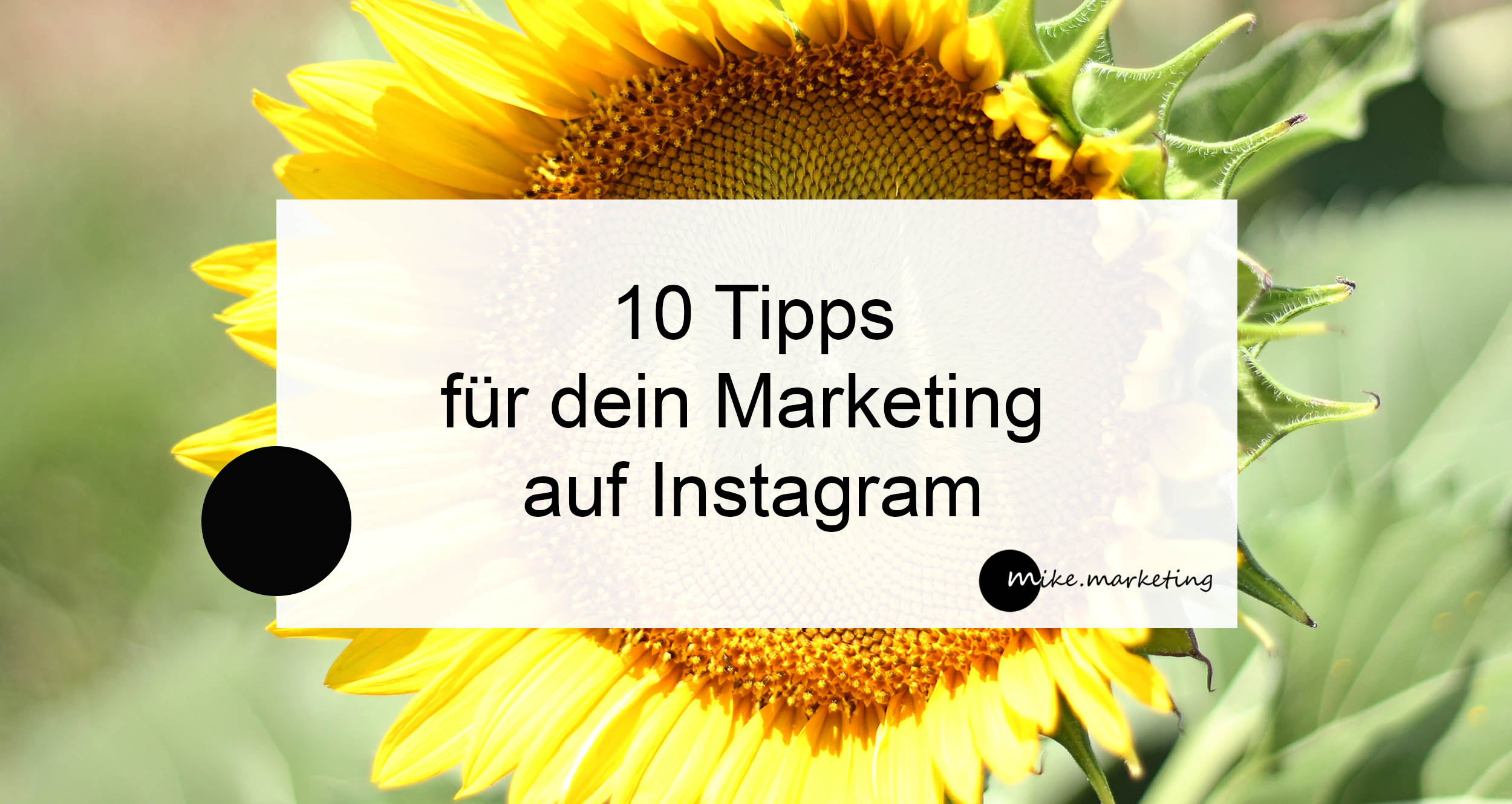 Instagram Marketing_10 Tipps_Michaela Benkitsch_mikemarketing